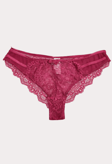 Elegant Sheer Lace Panty for Women – Soft Stretch Feminine Lace Brief